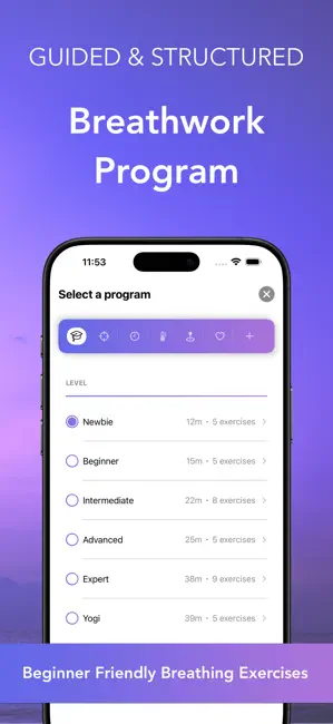 Six progressive levels from Newbie to Yogi